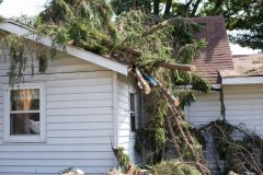 Tree falls on top of roof - cheap homeowners and renters insurance in Georgia.