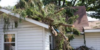 Tree falls on top of roof - cheap homeowners and renters insurance in Georgia.