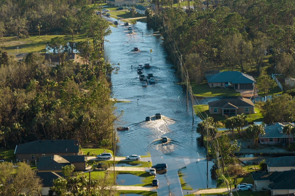Rising water in Georgia. Good thing they have comprehensive homeowners insurance.