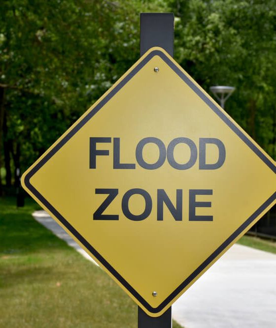 A flood zone warning sign in a Georgia park.