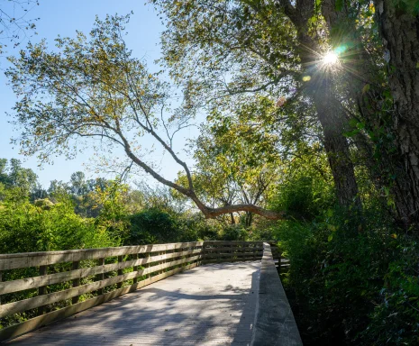 Enjoying fall weather at Roswell Riverwalk Boardwalk, a 7-mile off-road path that runs along the Chattahoochee River in Roswell, Georgia, north of Fulton County. It has a walking path along the river