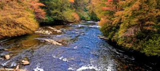 Toccoa River shot from above with autumn leaves.