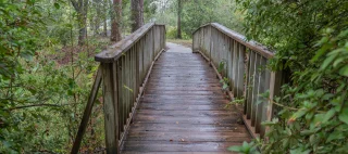 This wet and bowed footbridge is located in the Okefenokee Swamp Park in Waycross, GA.